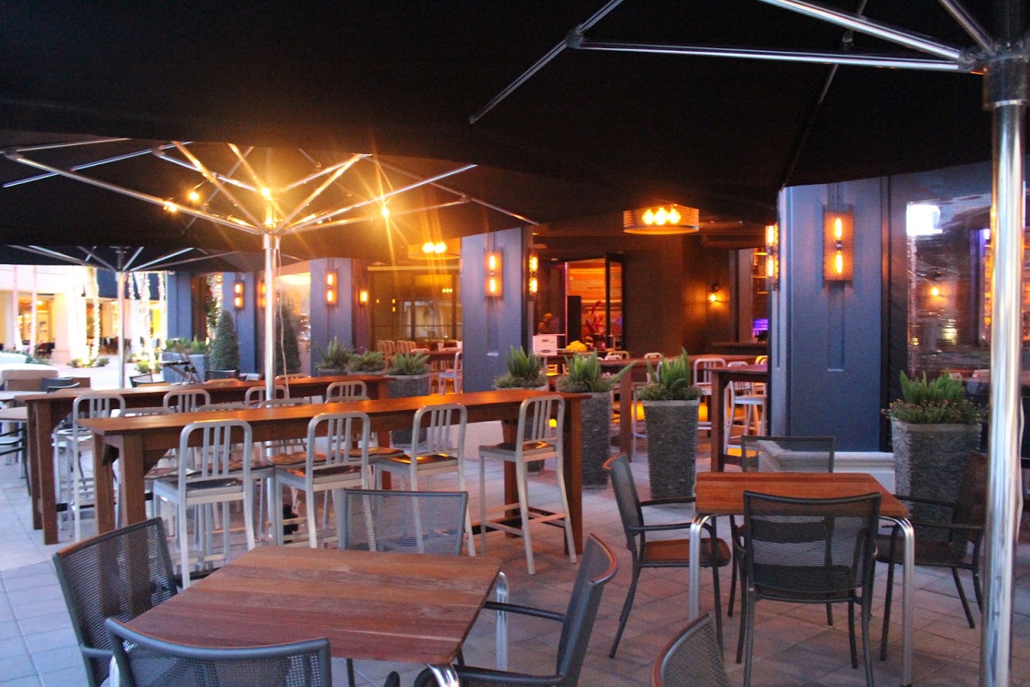 Tap 42 Craft Kitchen & Bar - Boca Raton in Boca Raton, Florida